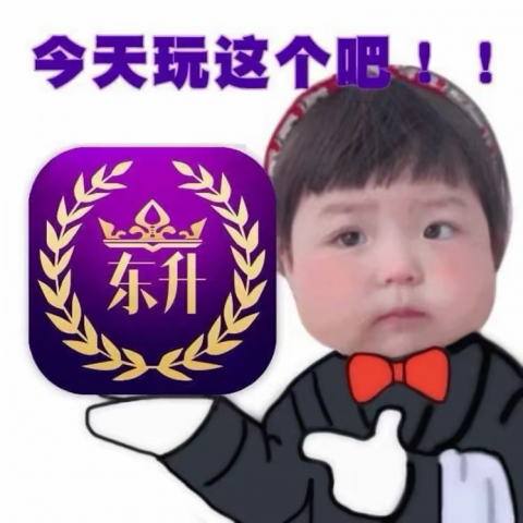 东升国际